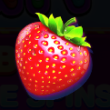 Strawberry Warp 