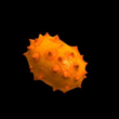 Kiwano